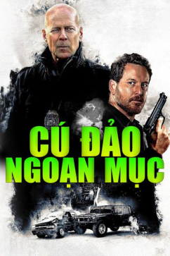 Cú Đảo Ngoạn Mục