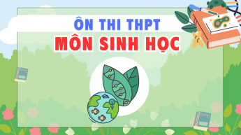 Sinh học 12- Ôn thi vào THPT