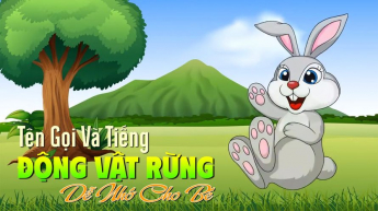 Tên Gọi Và Tiếng Động Vật Rừng Dễ Nhớ Cho Bé