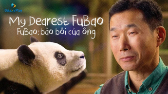 Fubao: Bảo Bối Của Ông