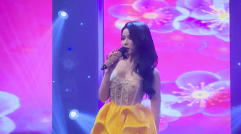 Hoa cỏ mùa xuân