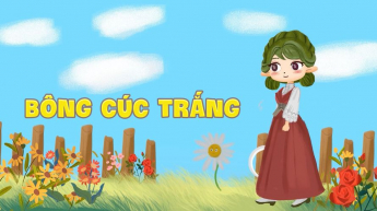 Bông Cúc Trắng
