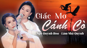 Giấc Mơ Cánh Cò