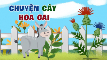 Chuyện Cây Hoa Gai