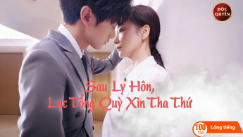 Sau Ly Hôn, Lục Tổng Quỳ Xin Tha Thứ